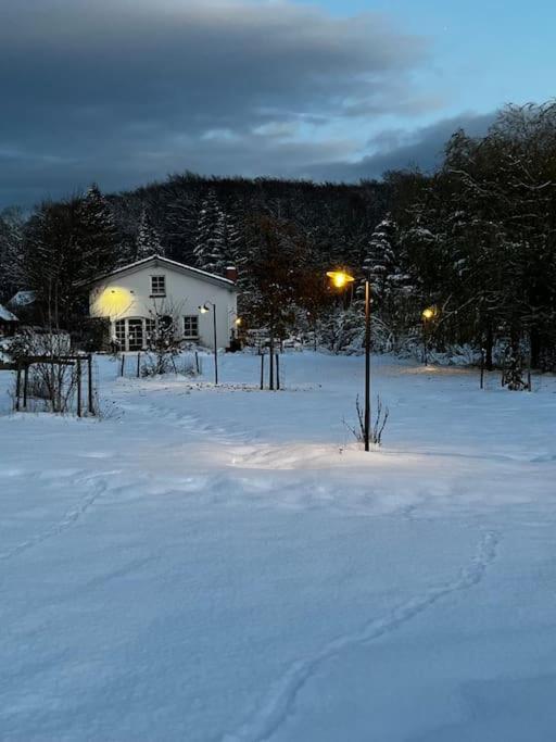 Landhaus „Blattgold“ Lohme Dış mekan fotoğraf