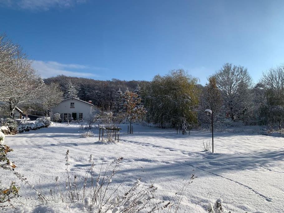 Landhaus „Blattgold“ Lohme Dış mekan fotoğraf