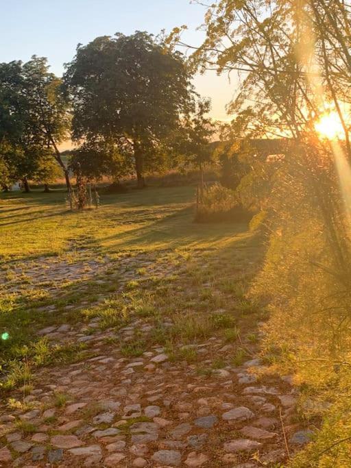 Landhaus „Blattgold“ Lohme Dış mekan fotoğraf