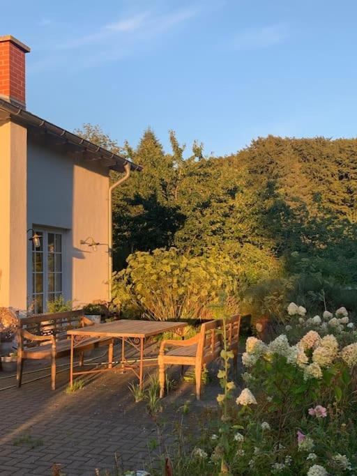 Landhaus „Blattgold“ Lohme Dış mekan fotoğraf