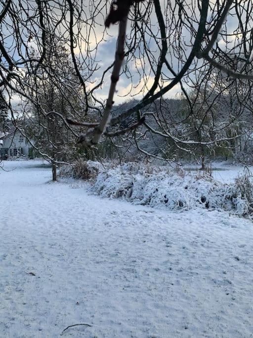 Landhaus „Blattgold“ Lohme Dış mekan fotoğraf