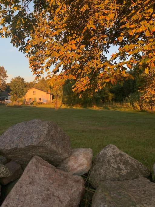 Landhaus „Blattgold“ Lohme Dış mekan fotoğraf